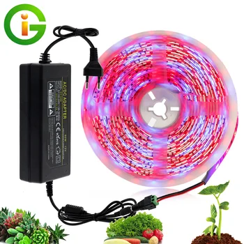 

LED Grow Light 5M Waterproof DC12V Full Spectrum Growing LED Strip Plant Growth Light Set With US/EU Adapter And Switch