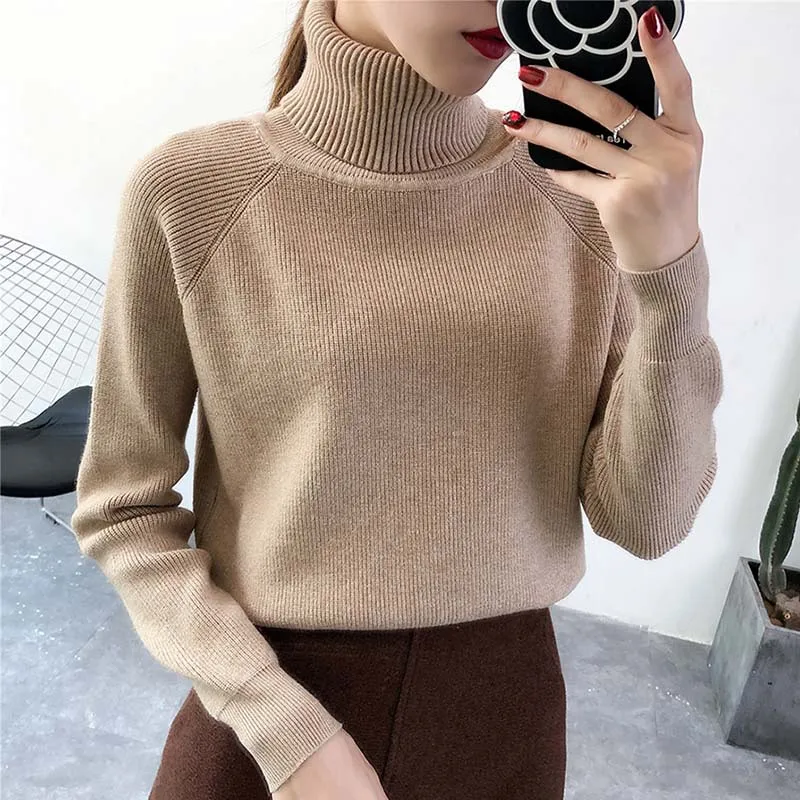 

Women's Turtleneck Sweater Winter Warm Female Jumper Thick Christmas Sweaters Ribbed Knitted Pullover Tops Pull Hiver Femme