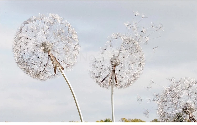 quarto, criativo Dandelion Wall Painting, sala de