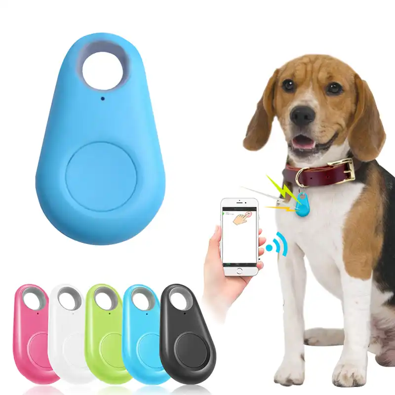 Tasinabilir Pet Akilli Gps Takip Cihazi Mini Anti Kayip Bluetooth Tracer Kopek Kedi Cocuklar Cuzdan Canta Anahtar Bulucu Bulucu Evcil Hayvan Aksesuarlari Gps Trackers Aliexpress