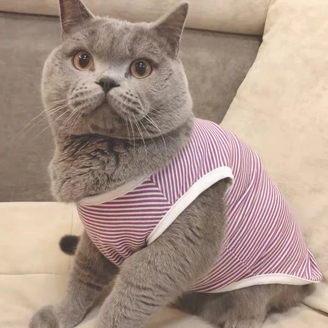 Pet Cat Clothes Summer Cat Vest Sports T Shirts Costume for Small 
