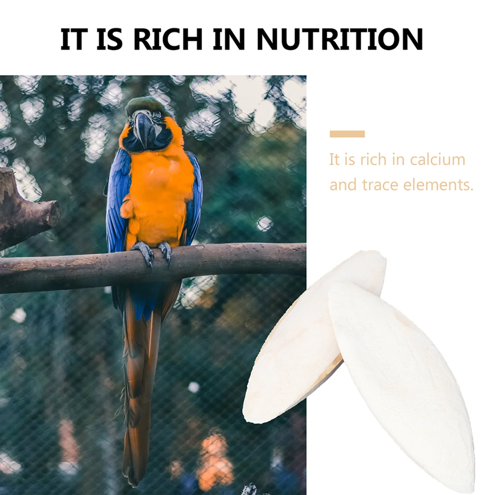 Cuttlebone Parrot Chewing Toy Bird Food Calcium Pick Stone 10pcs parrot toy bird toy bird cage accessories pet mineral supplement
