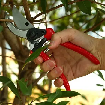 

Red Handle Garden Pruning Shears Fruit Tree Thick Branch Branches Shears Pruning Scissors Gardening Potted Pruning Tools