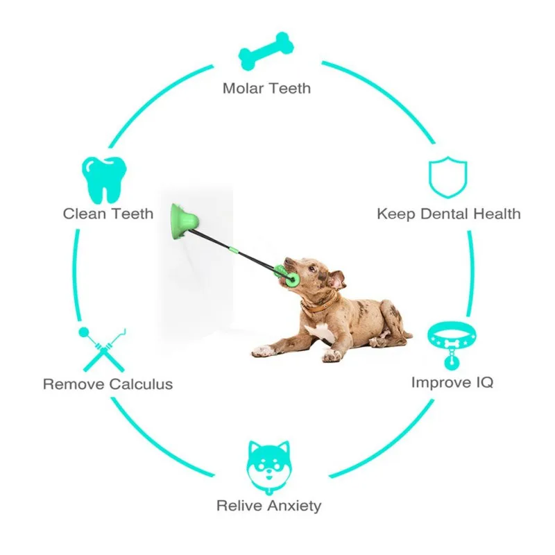 suction dog toy