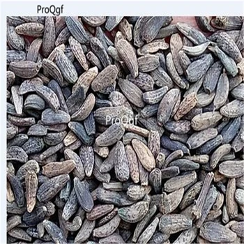 

Ngryise 500pcs Arctium lappa