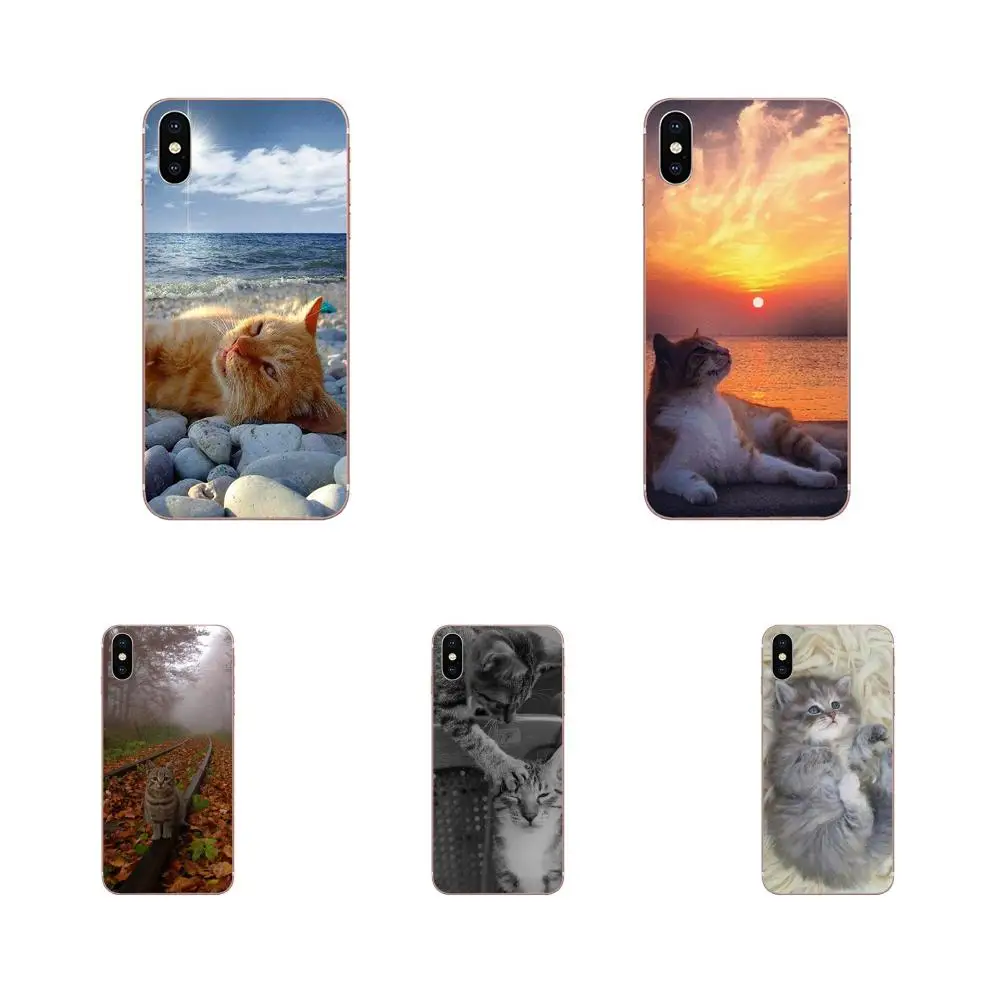 Кошка чтобы быть котенок меня прямо мяу текст Cat для Huawei Honor 4C 5A 5C 5X6 6A 6X7 7A 7C 7X8 8C 8S 9 10
