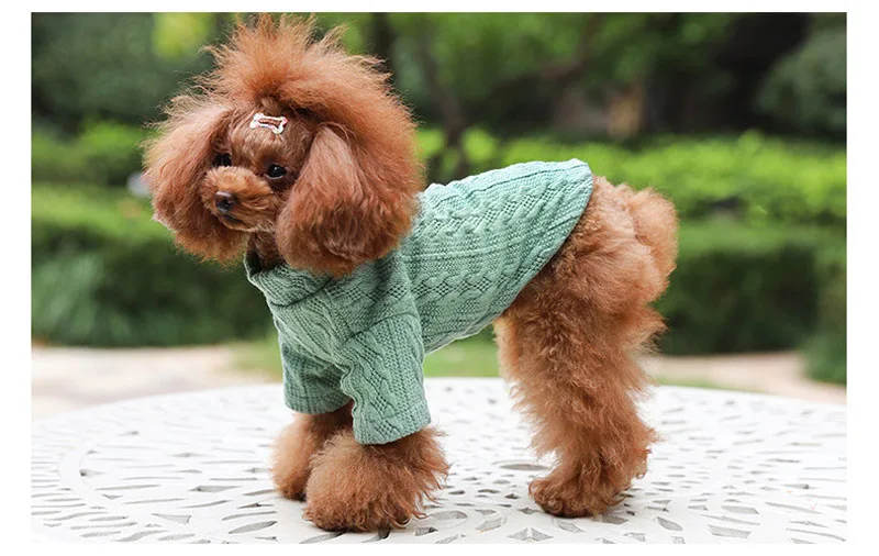 Осень зима свитер для собаки, для питомца костюм талисмана высокая эластичность вязание крючком одежда для маленькие собачки Чихуахуа таксы 10E