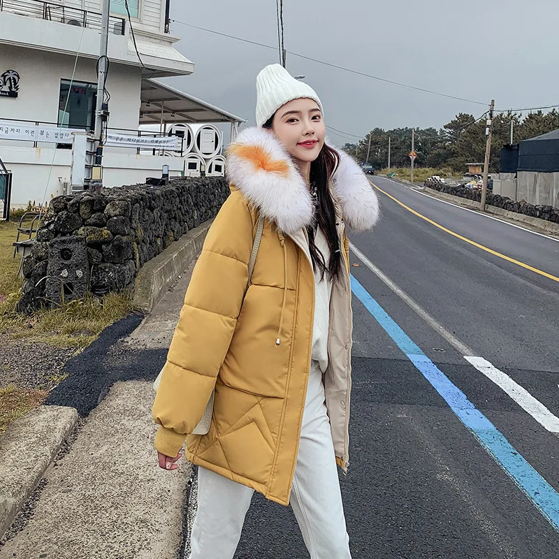 

According to Nalini 19 New Style down Feather Women's Korean-style Dongdaemun Loose-Fit BF Students Cotton-padded Clothes INS Ho