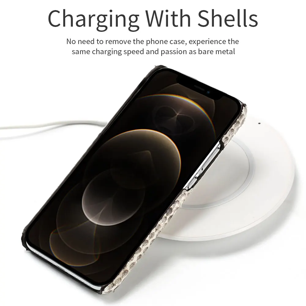 Luxury Genuine Python Leather Phone Case For iPhone 15 13 14 Pro Max 15Pro 14Pro 11 12 ProMax Snakeskin Back Cover