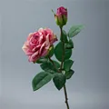 Rose Red