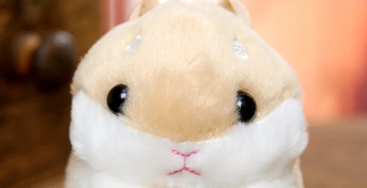 HTB1DBBkcuuSBuNjSsziq6zq8pXaZ