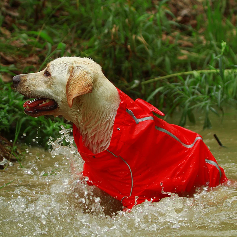 DogMEGA Reflective and Waterproof Raincoat for Dog