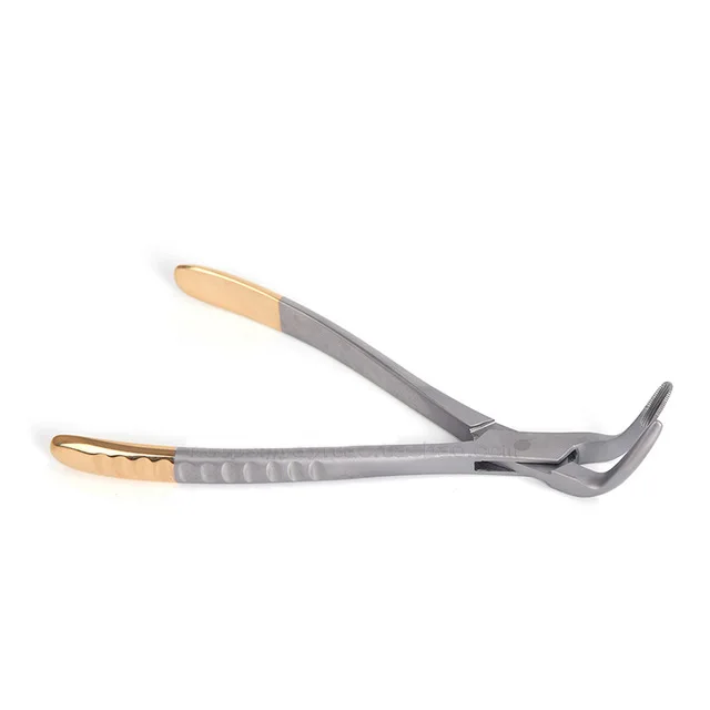 lower jaw Dental Root Fragment Tweezers Tooth Extraction Forceps Tools Tooth Pliers Instrument Curved Maxillary Mandibular universal Plier - Цвет: lower jaw