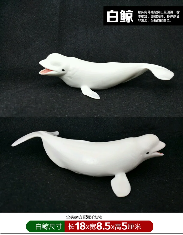 Oceans Solid Model Animal Model Non-Shark Whale Shark Killer Whales Turtles Sawfish Great White Plastic Manta Rays
