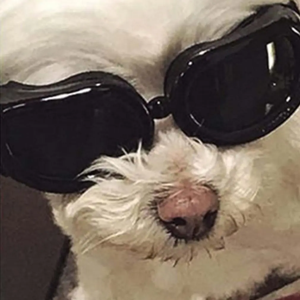 Pets Foldable Glasses Dogs Pet Goggles Pets Sunglasses Pets Supplies Pet Products Fashion Goggles