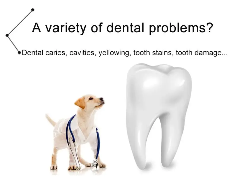 10938985041_1891774041