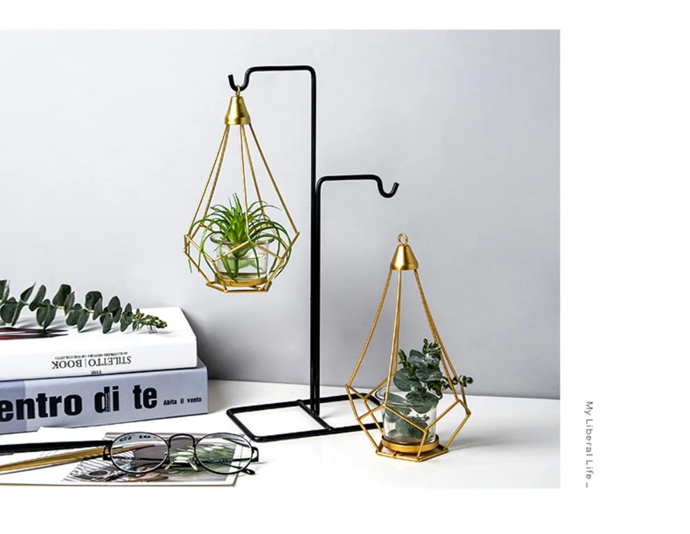 TB2Bi8CcjfguuRjSszcXXbb7FXa_!!2041494488_副本