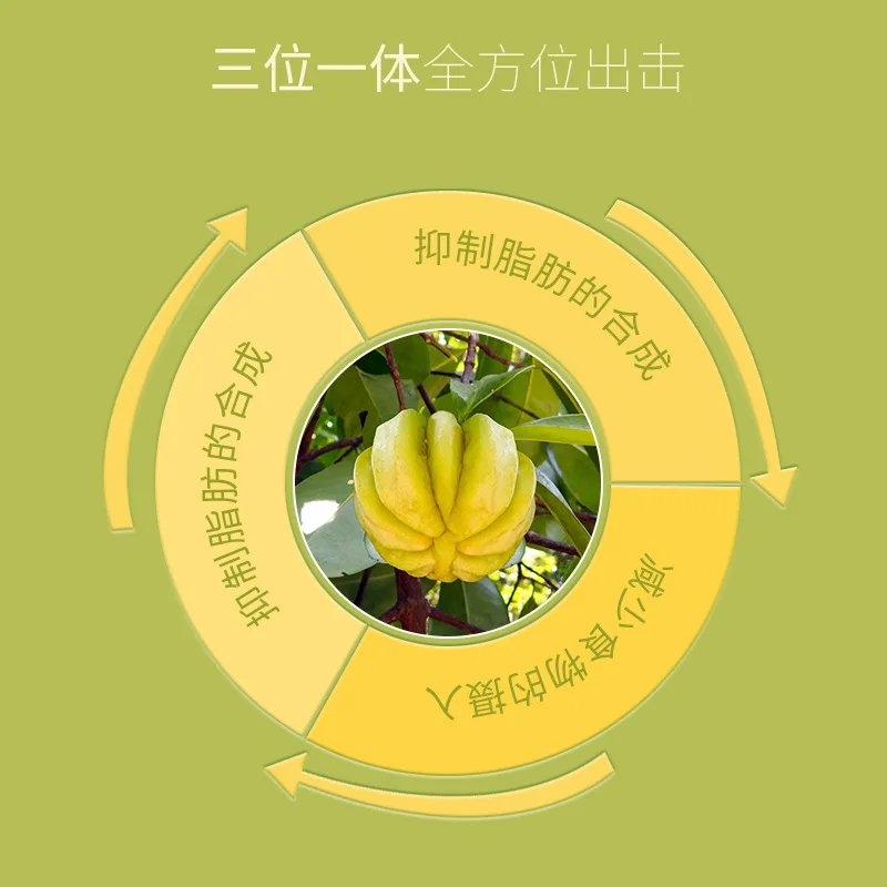 Комбинированный порошок Garcinia Cambogia для фруктов и овощей напиток OEM/ODM завод по