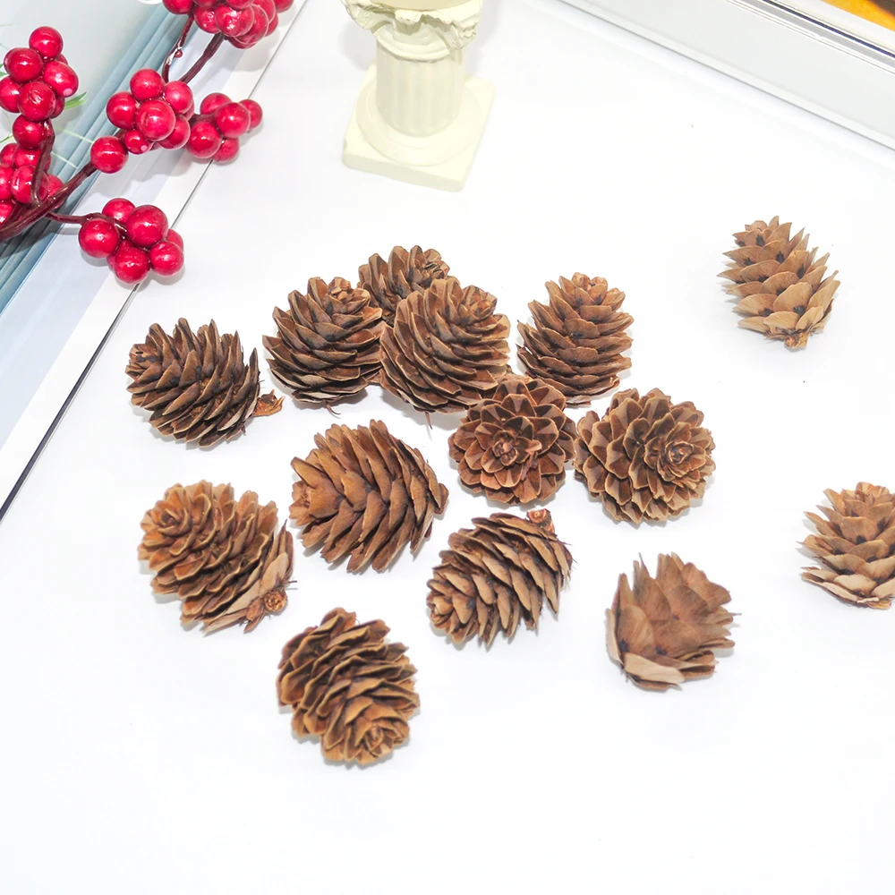 Natural pine cones (10)