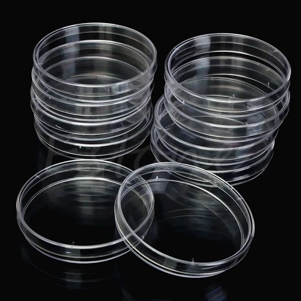 10Pcs Plastic Sterile Petri Dishes Bacteria Culture Dish Lids 55x15mm Laboratory Biological Scientific School Supplies petri dishes