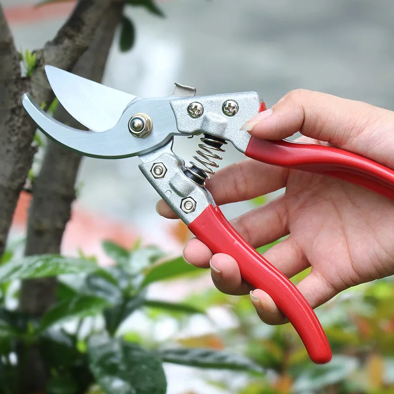 SK5 садовые ножницы для обрезки триммеры для дерева секаторы фруктовые цветы Водоросли Резак ручной секатор кусачки садовые ножницы