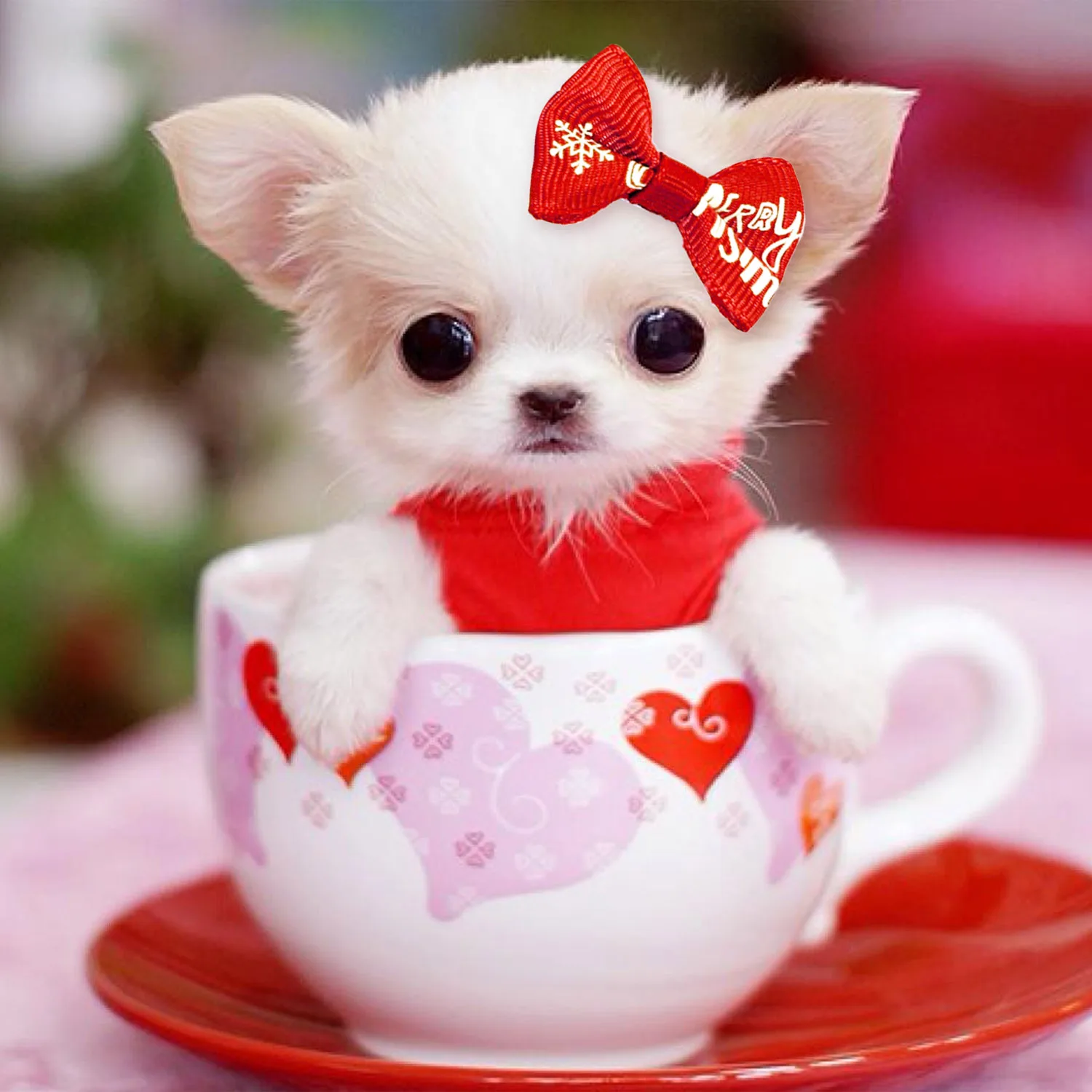 Behogar 50PCS Cute Pet Hair Clips Pins Hairclips Hairpins for Dogs Cats Christmas Xmas New Year Pet Grooming Hair Accessories