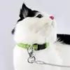 Pet Products