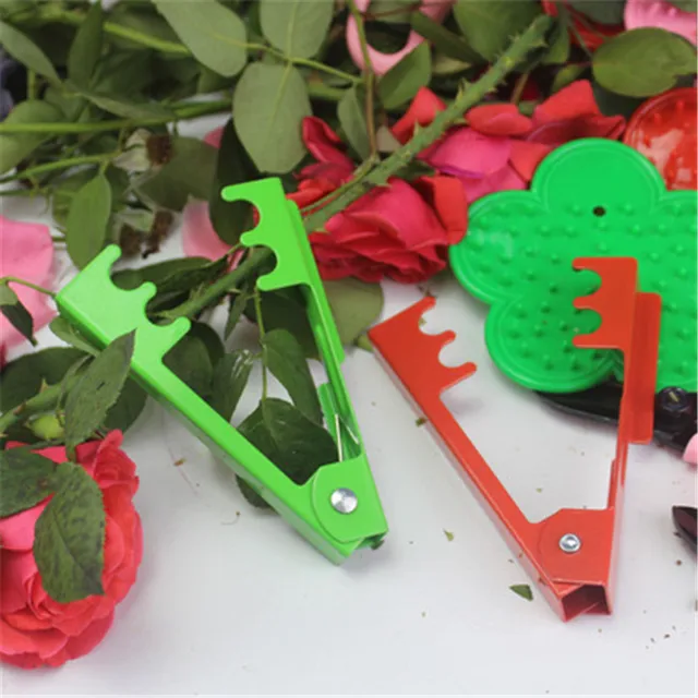 M89B Pink/Green/Red Professional Rose Leaf Thorn Stripper Stripping Tool  Thorn Remover for Roses Stainless Steel Rose Plier - AliExpress