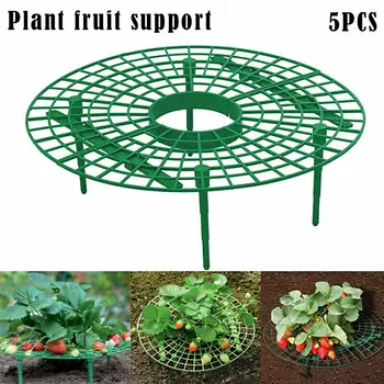 

Strawberry Stand Growing Circle Support Rack Farming Improve Harvest Frame Lightweight Removable Racks Plant Support Garden Tool
