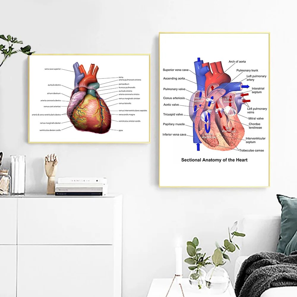Абстрактное сердце холст картина плакат плакаты и Prtins медицинский, анатомический холст живопись медицинский доктор клиника настенные