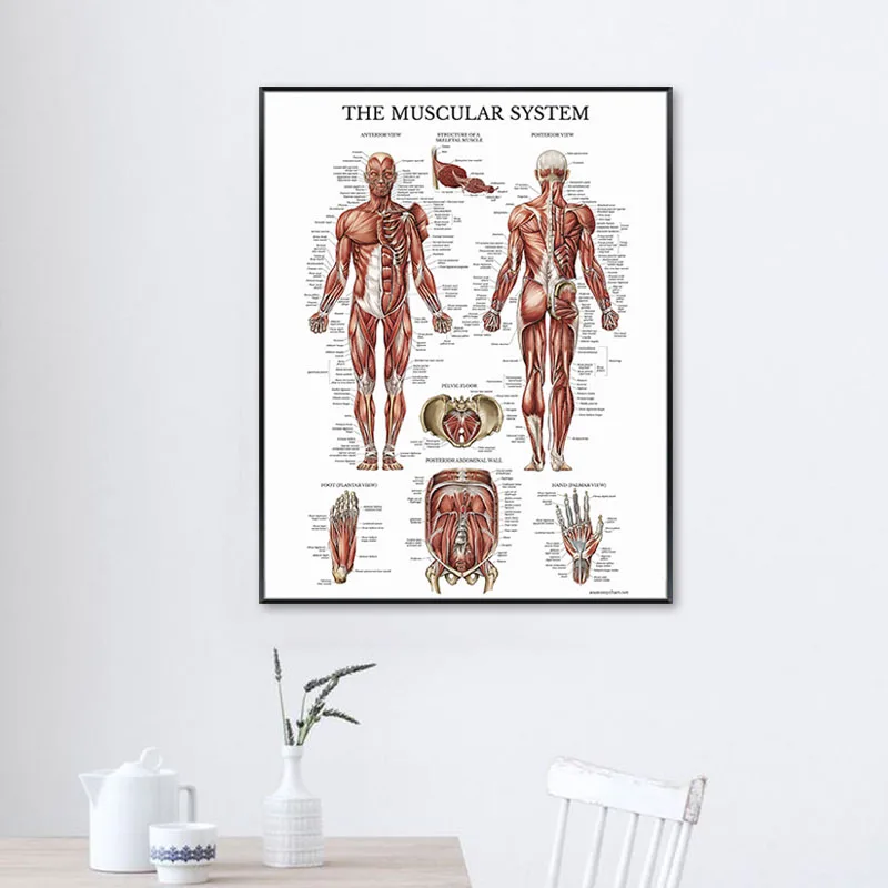 H6027dbeae259461d95e593dd65479244f