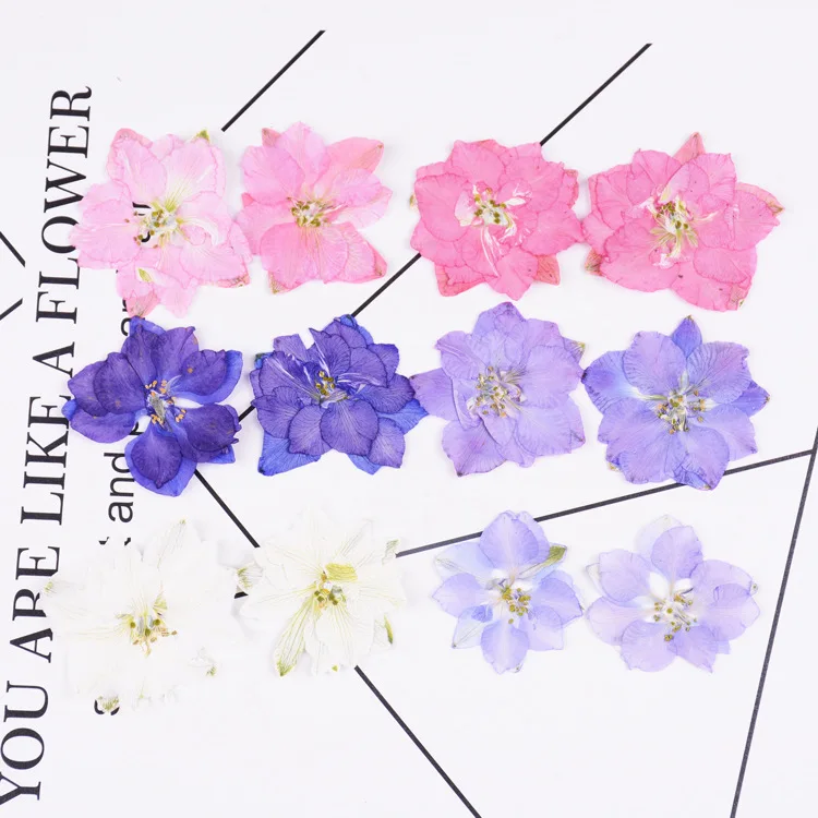 

Swallow Flower Gaura Lindheimeri Primary Color Not Dyed Epoxy Dried Flower Phone Case Pressed Flower Plant Specimen 12 Red a Bag