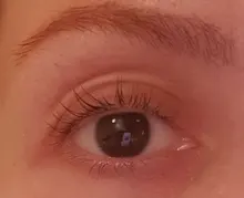 Actualización de las pestañas de Kit de pestañas permanente Calia Conjunto Permanente profesional de pestañas ascensor de crecimiento de pestañas nueva llegada