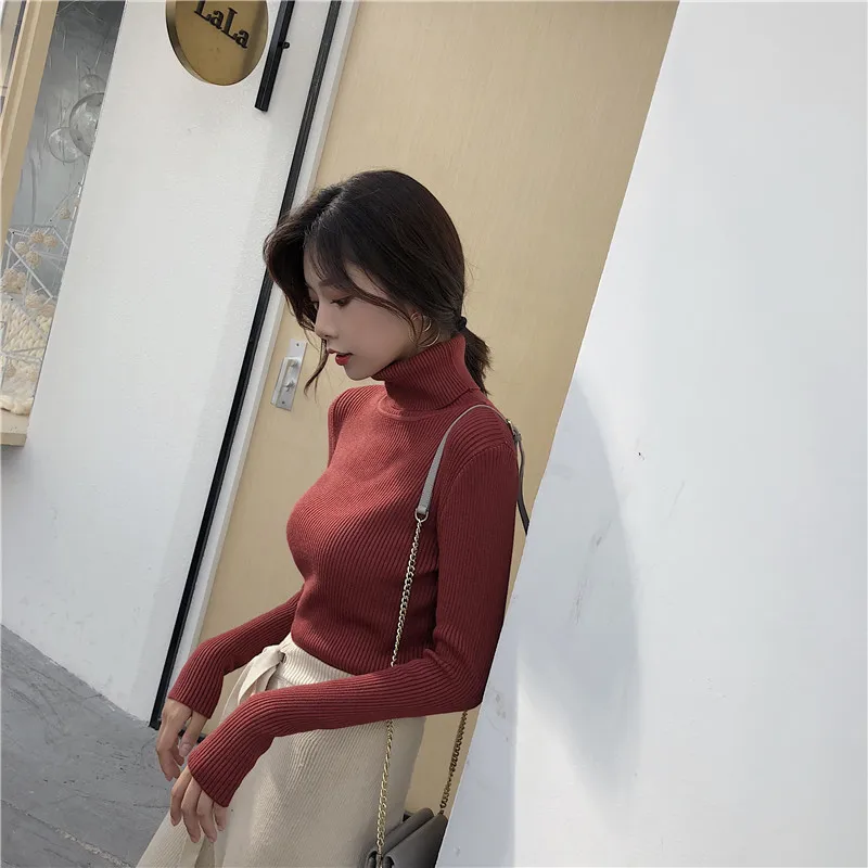 Autumn Winter basic Sweater Women Knitted Ribbed Pullover Sweater Long Sleeve Turtleneck Slim Jumper Soft Warm Pull Femme