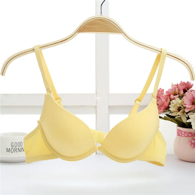 sexy bombshell bra small breast young girls embroidery silk padded  brassiere reggiseno push up 1/2 cup 32A 32B 34A sutyen sutien - AliExpress