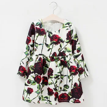 

Spring Autumn Baby Girls Dress Long Sleeve 2020