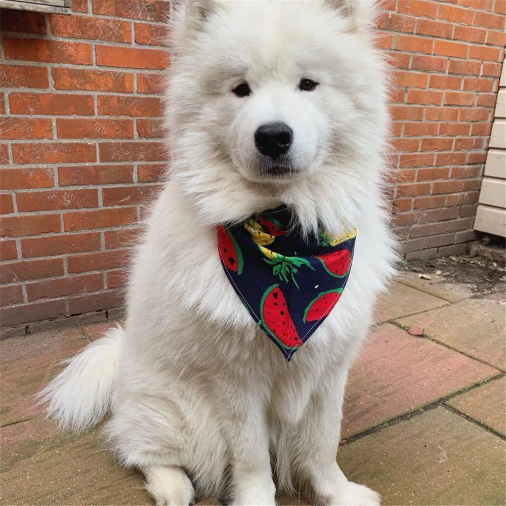 Hundehalstuch Mit Kleeblatt-Druck – Weiches Bandana Für St. Patrick’s Day
