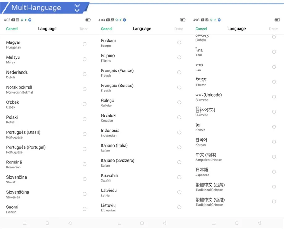 3 Multi-language_副本