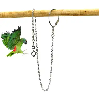 

New Parrot Stainless Steel Foot Ring Chain Opening Activity Ring for Lovebird Cockatiel Parakeet Bird Stand Anklet