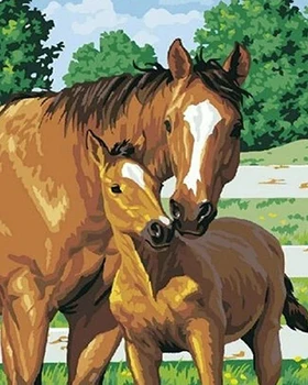 Horse and mare in field painting by numbers kit Horse and mare in field painting by numbers kit