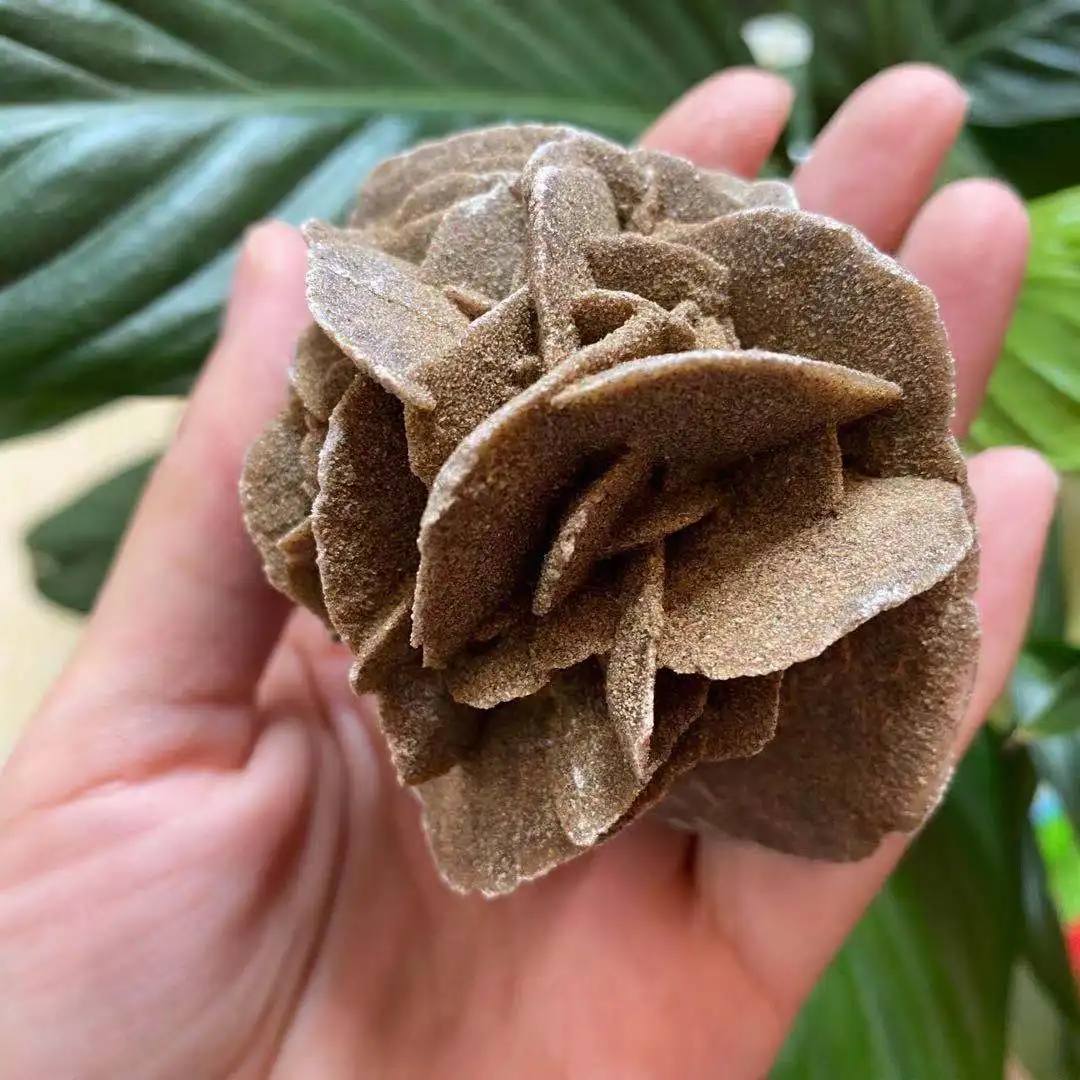 Natural Desert Rose Mineral Specimen, Raw Stone, Crystal Energy