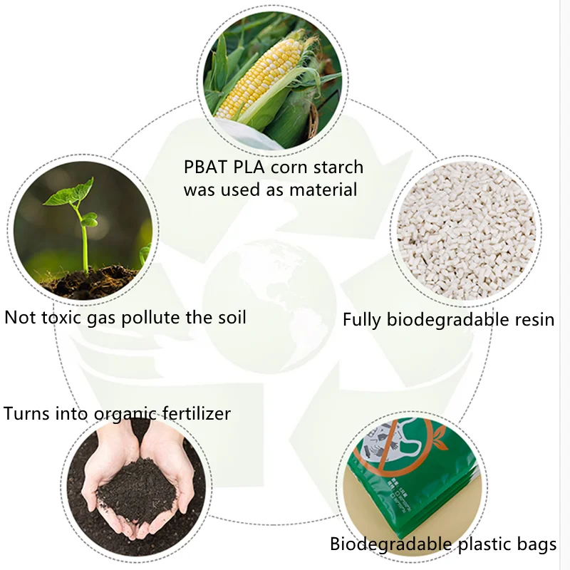 StoBag Degradable Frosted Transparent Self Adhensive Plastic Bags Clothes Package Eco Friendly Pouch Reusable Sealed Waterproof 3