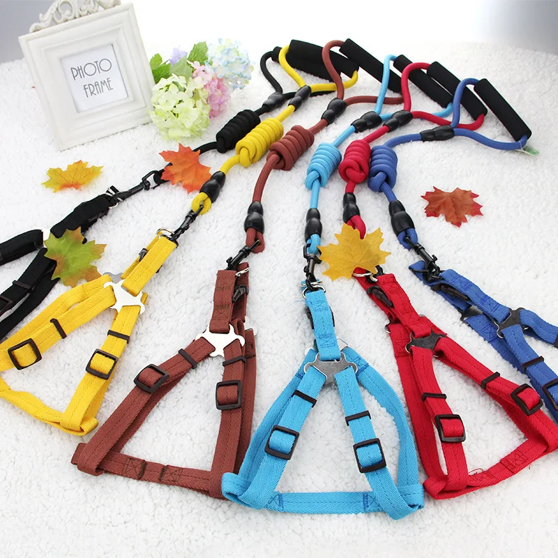 

Dog Chain, Leash, Chest, Back, Leash, Leash, Leash, Small Dog Rope, Teddy Chain, Dog Supplies, Dog Rope Dog Collar Leather