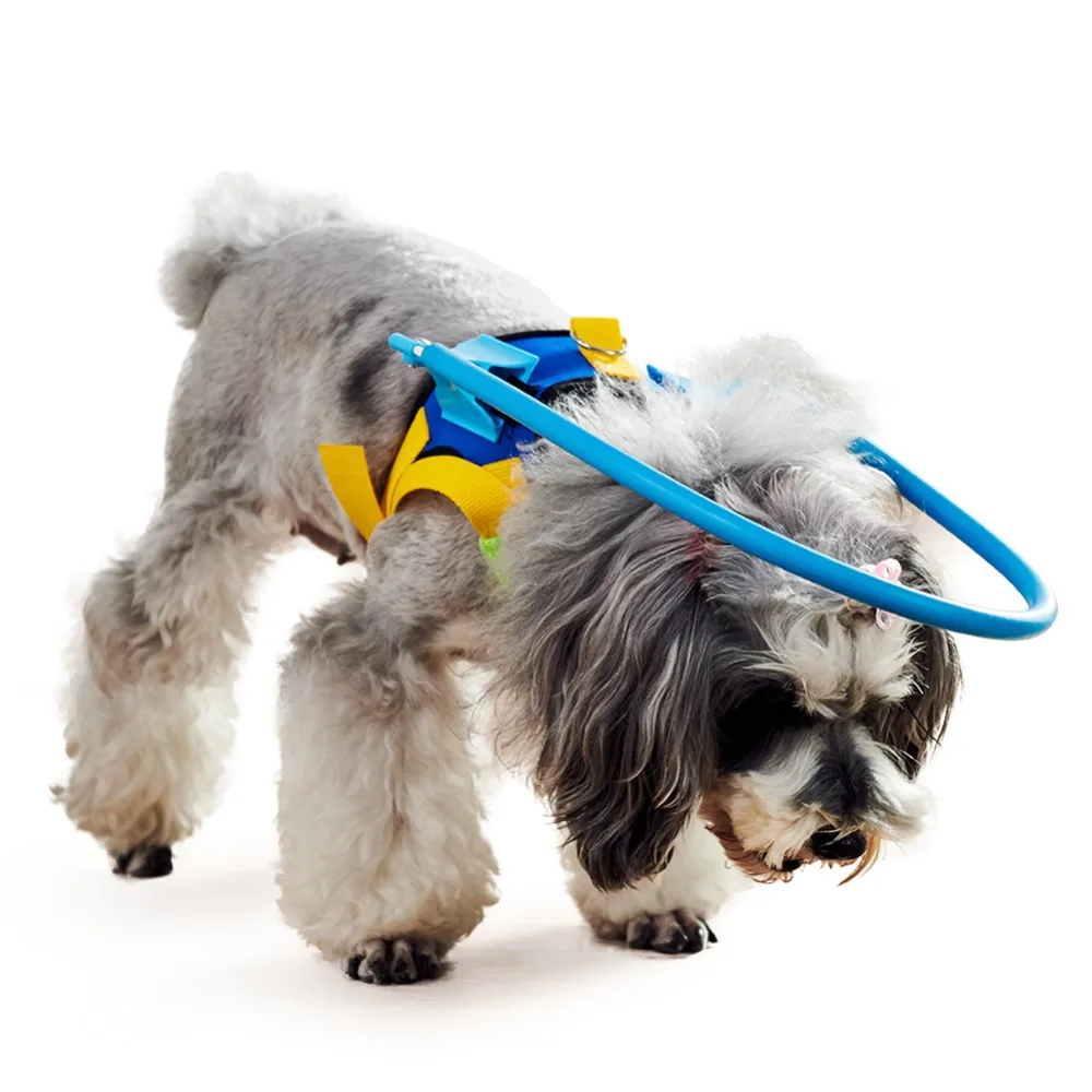 293327_no-logo_293327-1-01