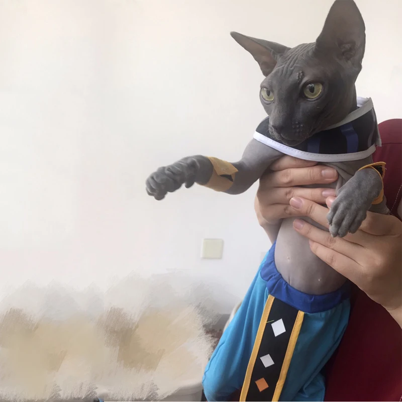 Ha722496404a84c8780570e1d94c15ac9g