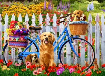 Dog with a bicycle painting by numbers
