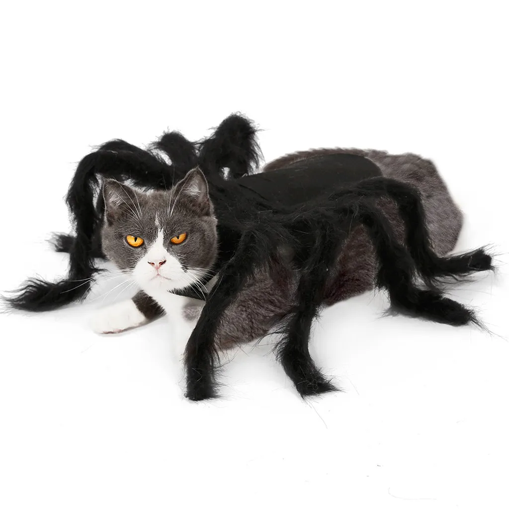 Trsnser Disfraz Perro Паук Одежда с принтом крыльев для щенков черные кошки Хэллоуин домашнее животное кошка собака костюмы милые 19July30 P30