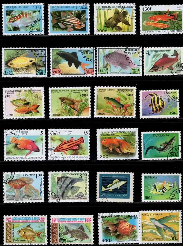 

50Pcs/Lot Fish Stamp Topic All Different From Many Countries NO Repeat Postage Stamps with Post Mark for Collecting