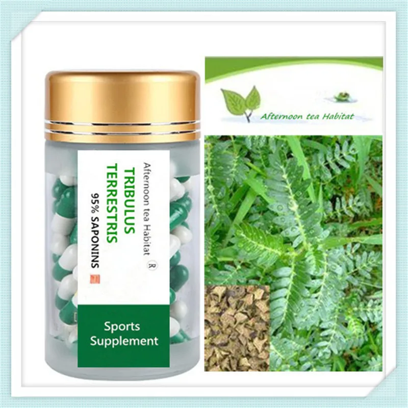 Tribulus Terrestris 95% Saponins 500mg x 100 PCS | Красота и здоровье