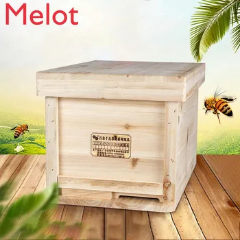 

Chinese Fir Beehive Beekeeping Tool Set Pine Wooden Bee Hives In Beehive Box